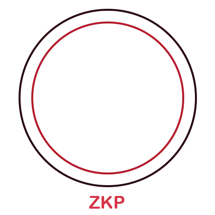 Zero Knowledge Proof